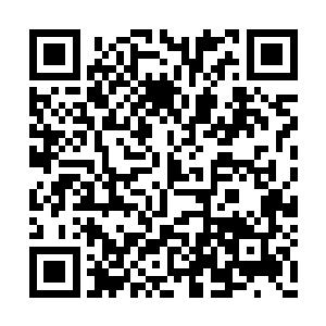 硬生生的将楚灵溪和楚昊炎的气息给压制了下去二维码生成