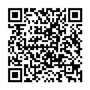 硬生生的把心底刚才那才涌起的淡淡的情愫给压了下去二维码生成