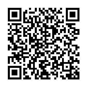 硬生生的熬到了日本战国时代和他同时代的英雄豪杰都死光了二维码生成
