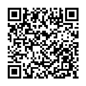 硬生生的趁机将冰妖之体突破到了天阶四星层次二维码生成