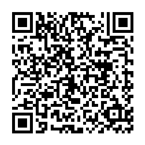 确保他们参赛时候使用的机甲和虚拟系统内使用的机甲手感基本相同二维码生成