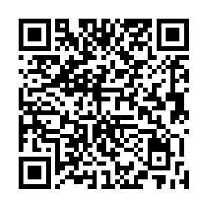 确保晶元反应炉鼎和修炼者自身爆发的灵能可以同时输出二维码生成