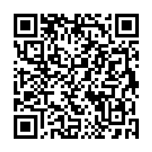 确保舰队中每一名孩童都能掌握最基本的设置和驾驭方法二维码生成