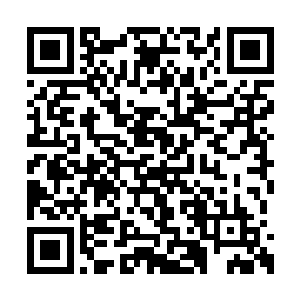 确切的说对他们夫妻的亲密举动已经习以为常了二维码生成