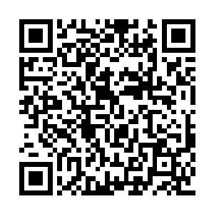 确切的说是可以以最短的时间离开香山森林公园二维码生成