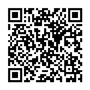 确切的说是皮特那边依旧没有能够掌控所谓的主动权二维码生成
