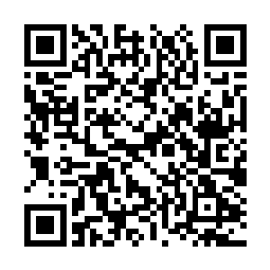 确定了眼前的这个哥哥真的意识到了他们的不对劲二维码生成