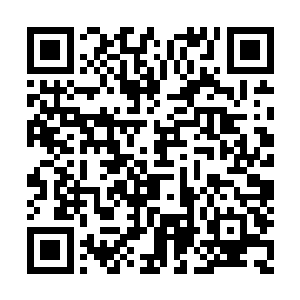 确定没什么太值钱的东西后直接放了一把火烧掉二维码生成