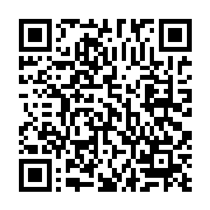 确实不太符合极其需要分析能力和大局观意识的打野位置二维码生成