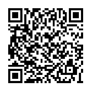 确实不应该为了那点仅存的怜悯之心影响到自己二维码生成