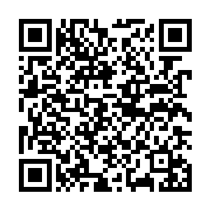 确实存在着这种可以将一个人直接提升到至尊境的宝物二维码生成