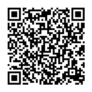 确实是她和秦天楠的儿子……尤其是她的眼神现在就直视着那边畏畏缩缩二维码生成