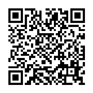 确实是这副傲然刁蛮看了就让人牙疼的清雅面庞二维码生成