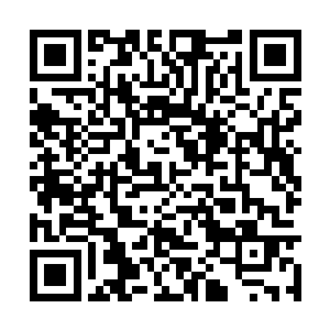 确实有资格蔑视一个天道初期乃至天道中期的强者二维码生成