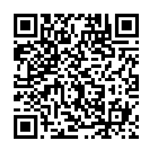 确认一下我们去派拉诺的营地拿到钱之后怎么回帕斯托二维码生成