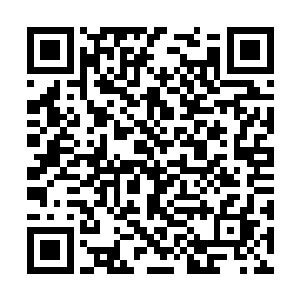 确认了一下林封谨可以支配的财富超过了四百万两二维码生成