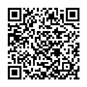 确认当年关于天尊陨落在枉死谷中的传闻是真的二维码生成