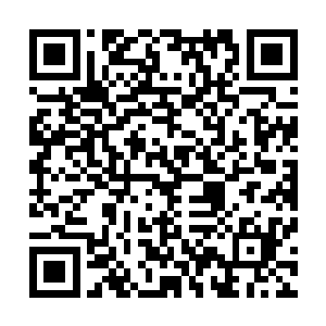 确认过我的身份后才把我放出来――他们应该相信我是侦探二维码生成