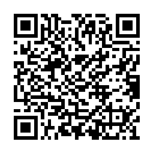 确认这神魂的伤害至少需要半个月以上才能恢复二维码生成