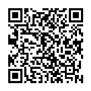 碧丽丝和琳达自然知道坐十几个小时的飞机是很累的事情二维码生成