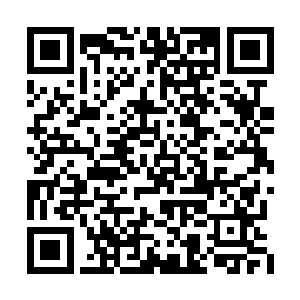 碧光玄龟王只有在碧光玄龟将被打败后才会出现二维码生成