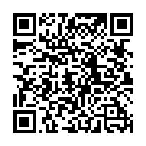 碧央界和太天界的人都需要我们和平域本土力量的加入二维码生成