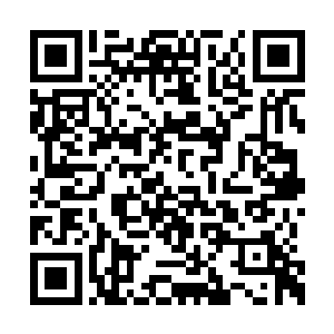 碧月夫人也意识到了天元侯这次的状况有些不对二维码生成