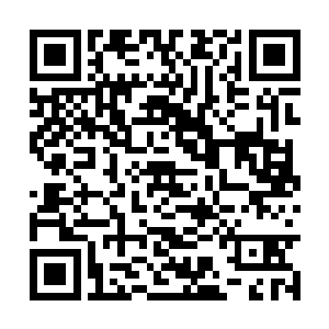 碧月夫人亲眼看到苗毅血战之后独自遁入星空深处二维码生成