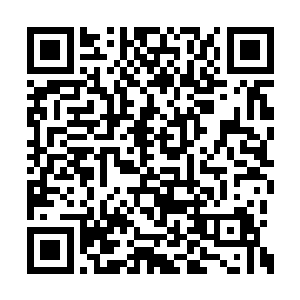 碧月夫人当即将自己见到的两人外貌形容了一下二维码生成