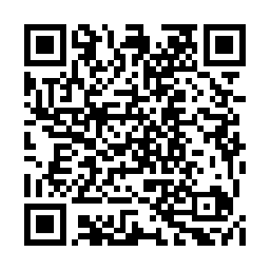 碧月夫人怎么会把自己的两名亲信手下交给苗毅二维码生成