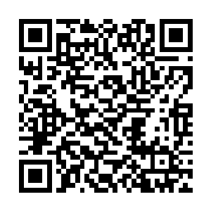 碧海和烈焰佣兵团几名圣王强者一个个脸色都是大变二维码生成