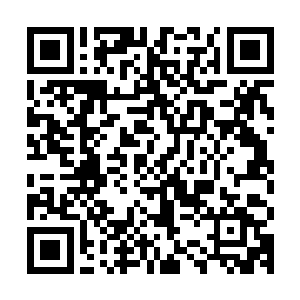 碧海和烈焰佣兵团几名圣王强者匆匆忙忙的从城主府中飞了出来二维码生成