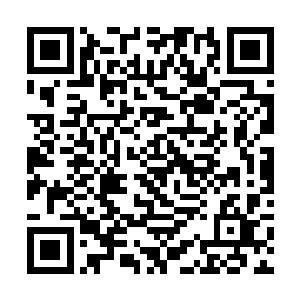 碧玺得到了这个答案之后就得意的看了一眼这个东黎二维码生成