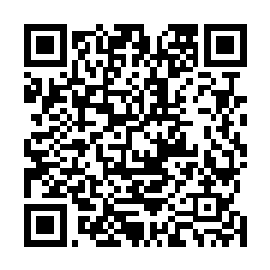 碧玺得意洋洋的声音传到白芷璃耳朵里怎么都觉得很刺耳二维码生成