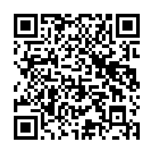 碧目神鹰和天羽鸢可是比长吻细犬更加值钱的名贵妖种二维码生成