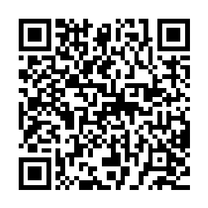 碧莲走到魅业火面前看着流墨墨沉寂的双眸柔声朝魅业火问道二维码生成
