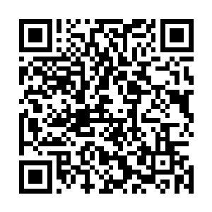 碧落关这边也是花了好大的力气才将残留的墨之力清除出去二维码生成