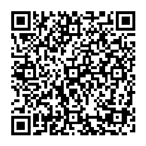 碧蓝的大海起伏的山脉翠绿的森林金黄的沙漠水光闪烁的稻田蜿蜒的河流繁华的都市二维码生成