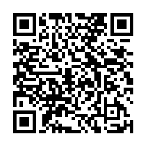 碧青界的周天仙人携碧青界界主周元和周青莲仙子求见二维码生成