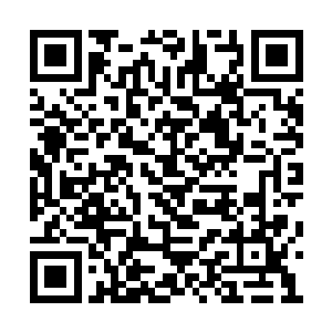 碰到大姨娘的贴身丫鬟和绿儿有说有笑的走过去二维码生成