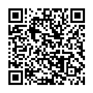 磅礴的圣之力与天地之力结合在一起闪电般朝前挥去二维码生成