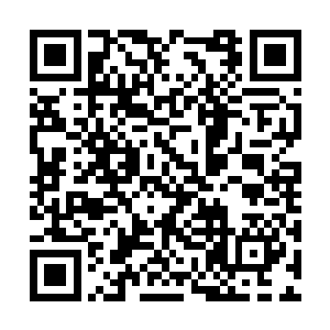 磨刀霍霍的准备跟着二少爷去海上当海盗发家致富二维码生成