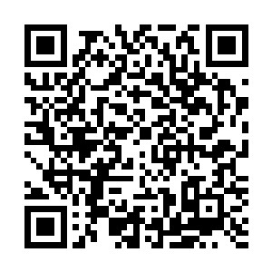示意沈寒把吴天意用她刚才找撕衣服的布条绑到那棵柳树上二维码生成