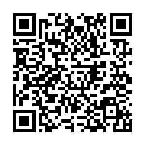 礼服甚至礼宾车等等所有流程都是牟家自己在打理二维码生成