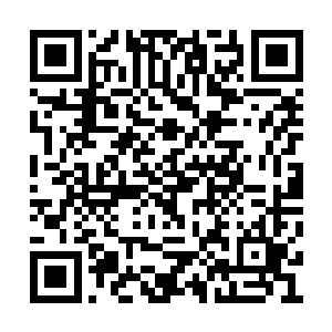 社会不在乎真我假我――老板会在意员工是谁么二维码生成