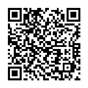 社会主义可就是以公有制经济为主体作为根本的啊二维码生成