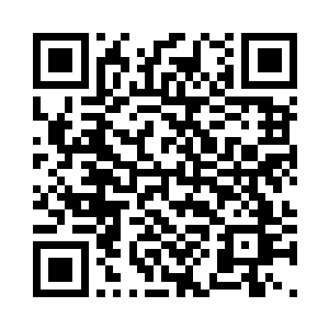 社会的弱点被完美地浓缩在了无名氏二维码生成