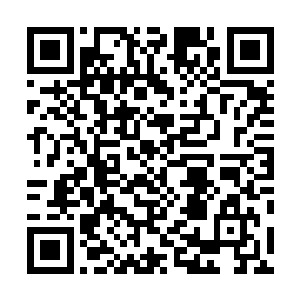 社团在星加坡的地位和当初兰芳公司在婆罗洲的地位类似二维码生成