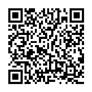 祁万海带着捡到宝又是惊讶万分激动的问着自己的宝贝徒弟二维码生成