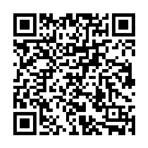 祁万海看到徒弟的眼睛直溜溜的盯着那串翡翠珠链二维码生成